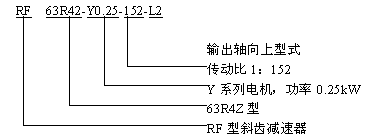 R系列斜齒輪減速器(qì)