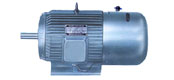 YDEJ2系列多速電磁制動三相異步電動機(H80～160mm)