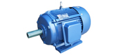 YDT系列風(fēng)機水泵專用變極多速異步電動機(H80～315mm)